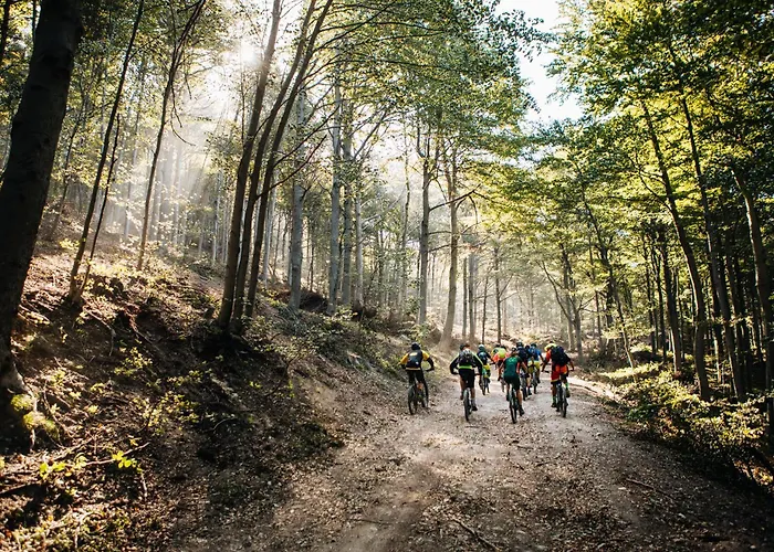Bike & Climb Feglino *
